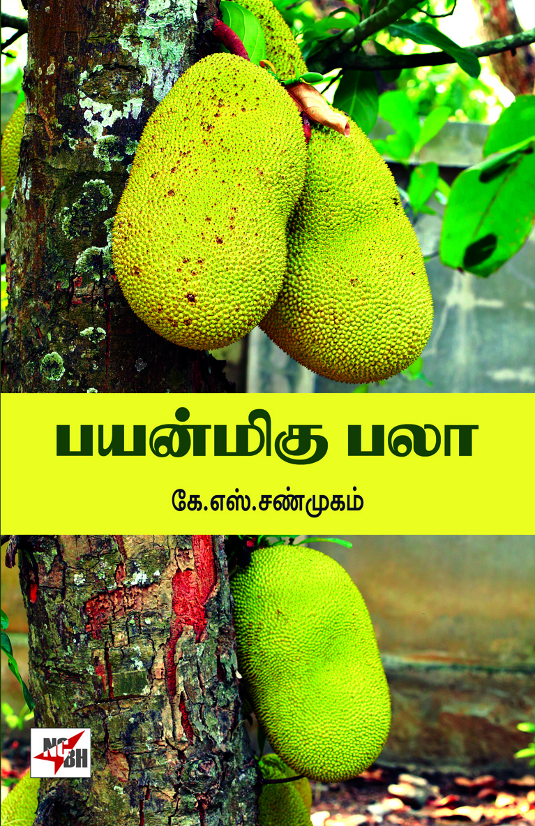 Payanmigu  Palaa