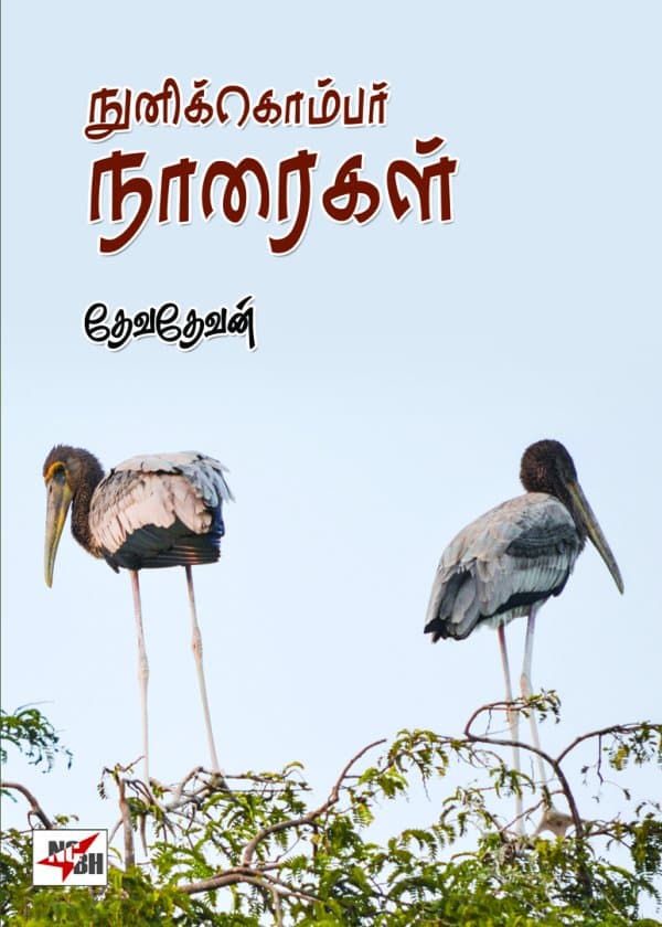 நுனிக்கொம்பர் நாரைகள்