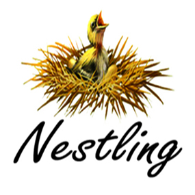 Nestling Books Publishing and Distributors (P) Ltd.,